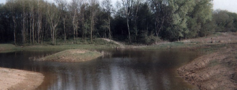 Lakes & Pond Development and Restoration
